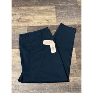 Allison Daley Women's Navy Blue High Waisted Elastic Waist Jeggings Jeans 3X NWT